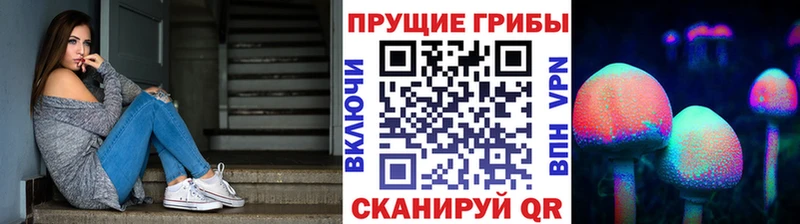 Галлюциногенные грибы Psilocybine cubensis  Купить закладки  Приморск 